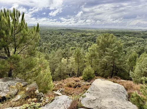 Fontainebleau et Gâtinais